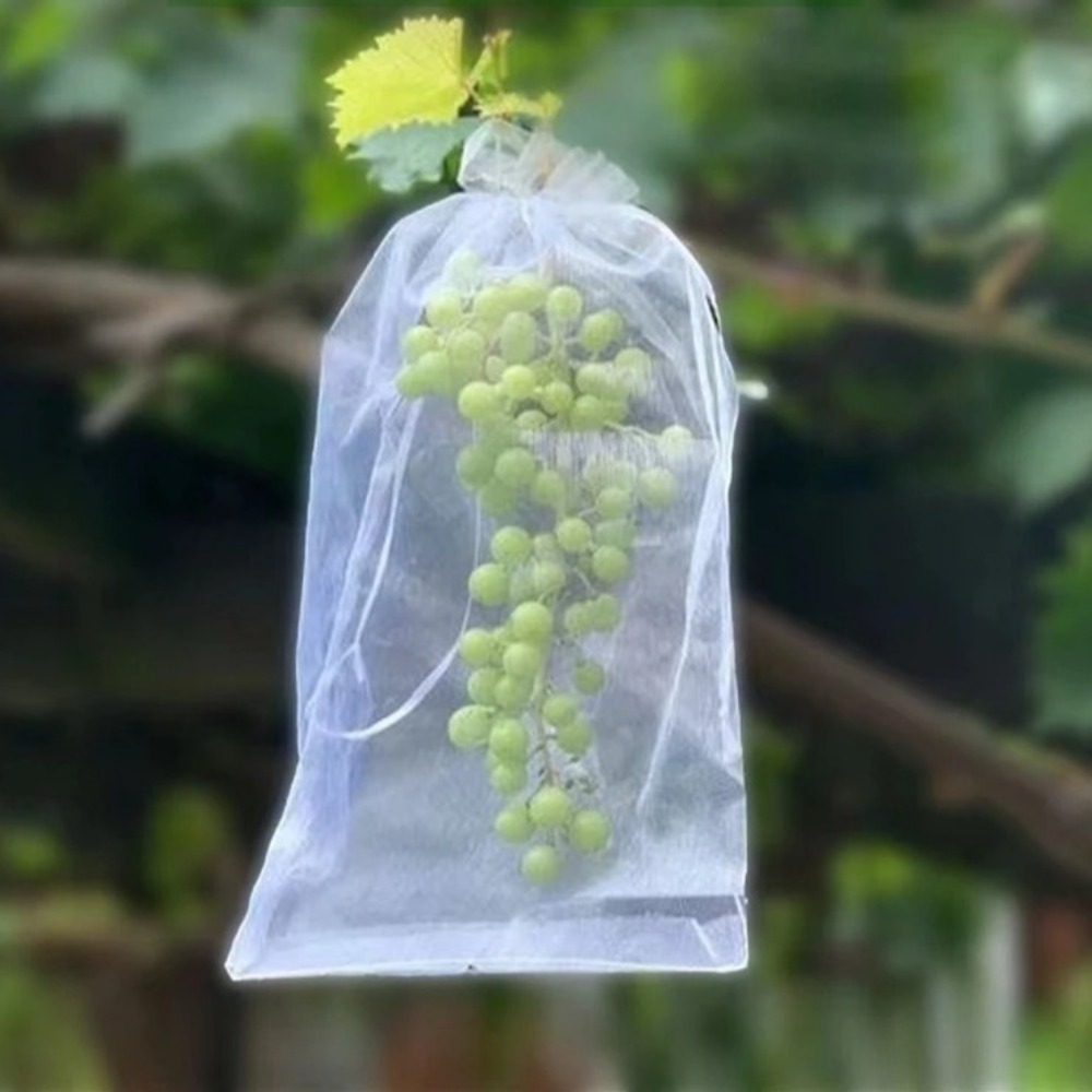 Grow Bags - 100pcs Grapes Fruit Grow Bags Netting