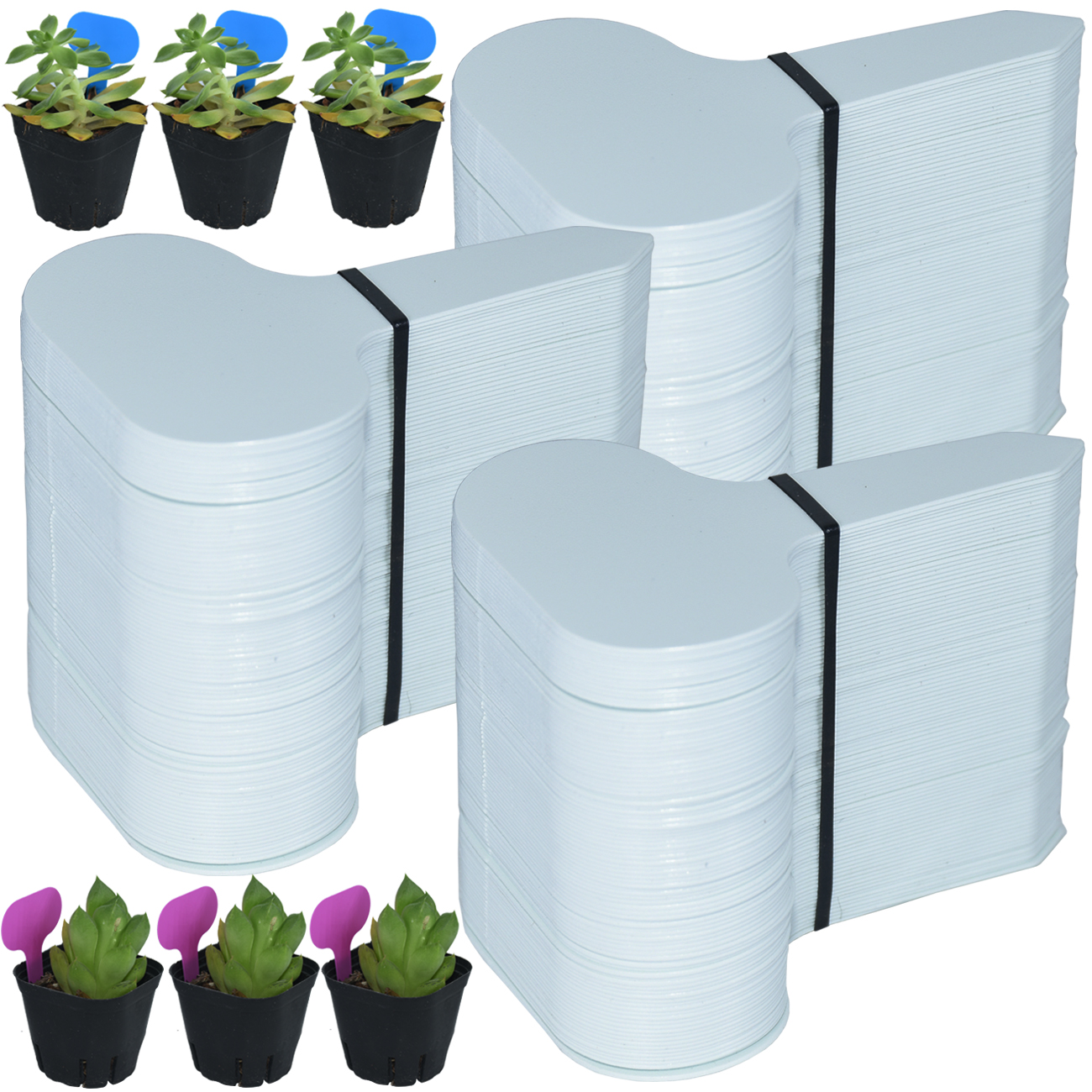 Garden Label Marker - 50PCS Garden Plant Labels Marker 50*70MM