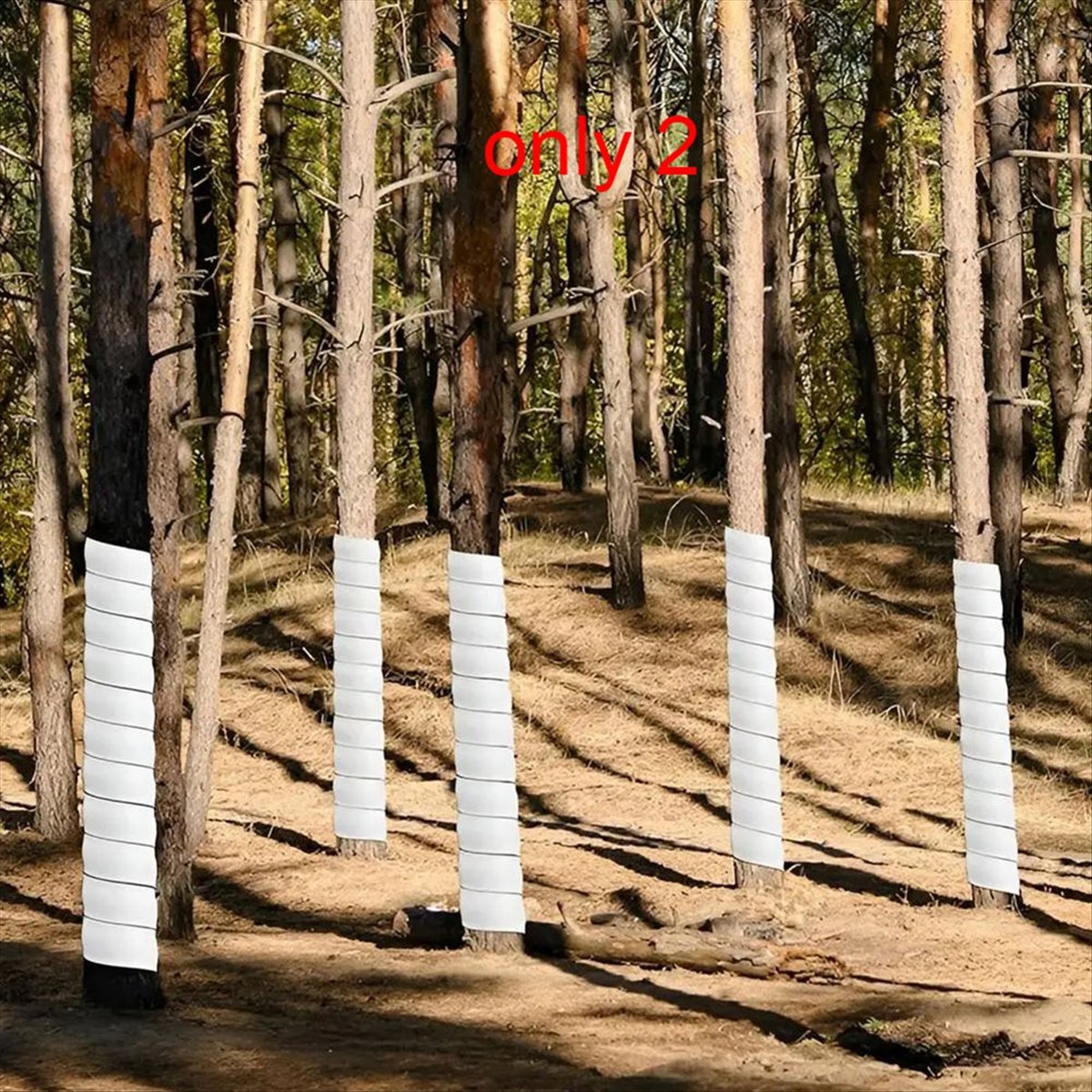 A75K Plant Tree Trunk Protecto – Gardening Tools B&M Bewertung und Preis