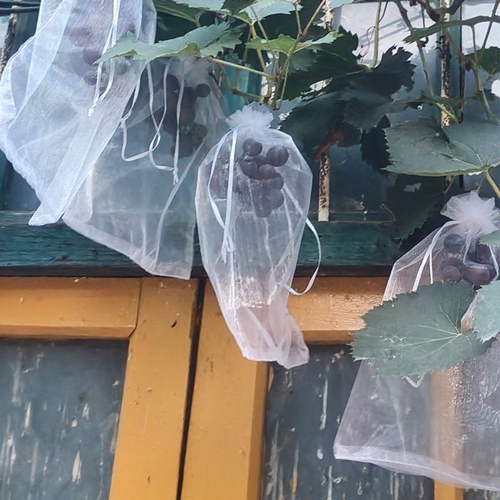 100pcs Grapes Fruit Grow Bags  – Grow Bags Bewertung und Preis