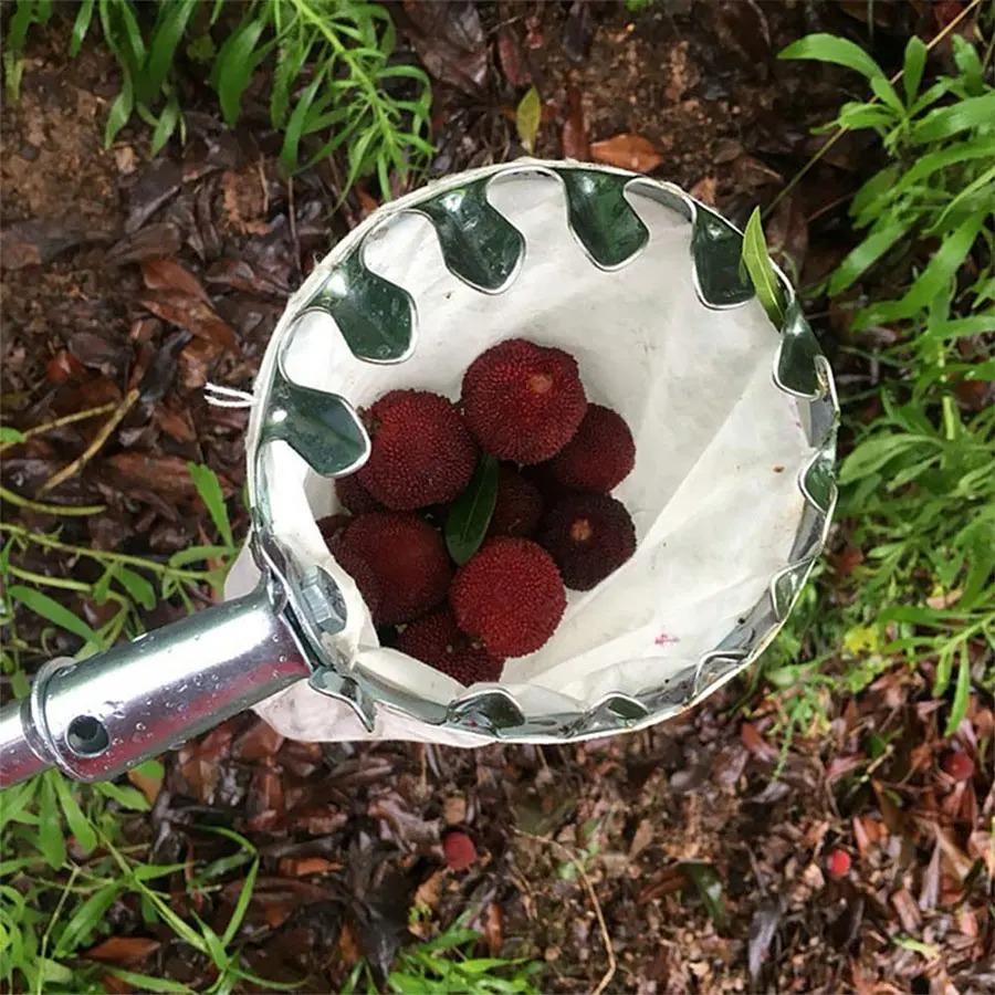 3-in-1 Fruit Harvesting Tool S – Grow Bags Bewertung und Preis