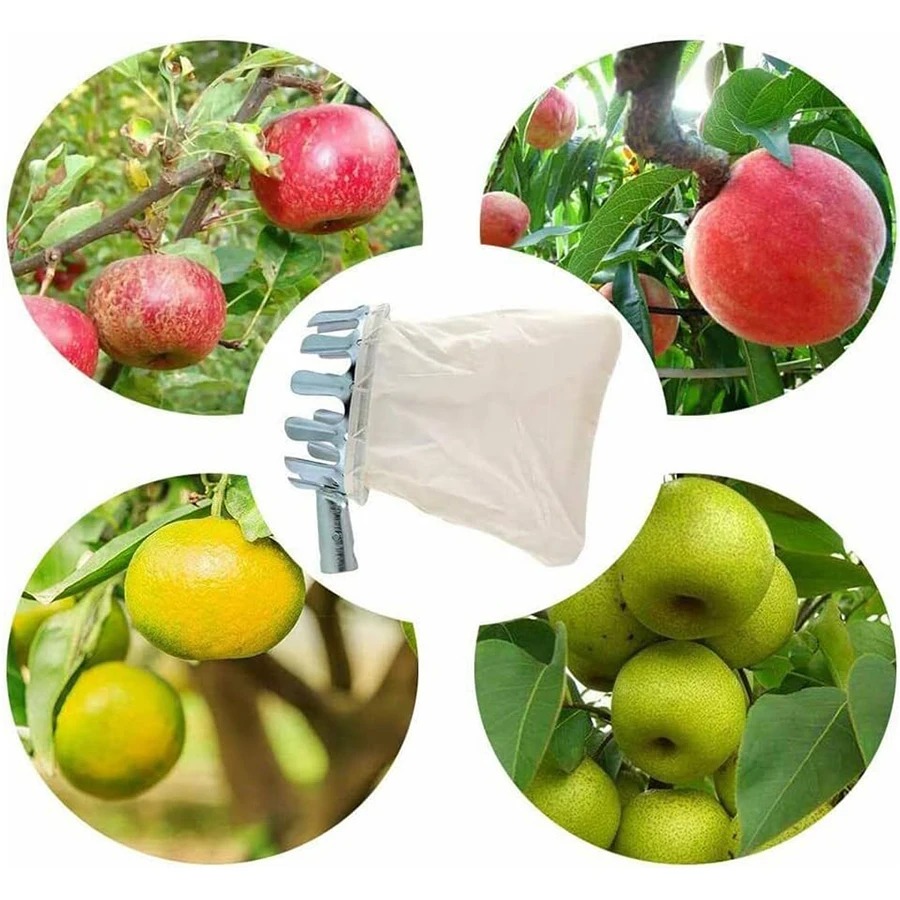 3-in-1 Fruit Harvesting Tool S – Grow Bags Bewertung und Preis