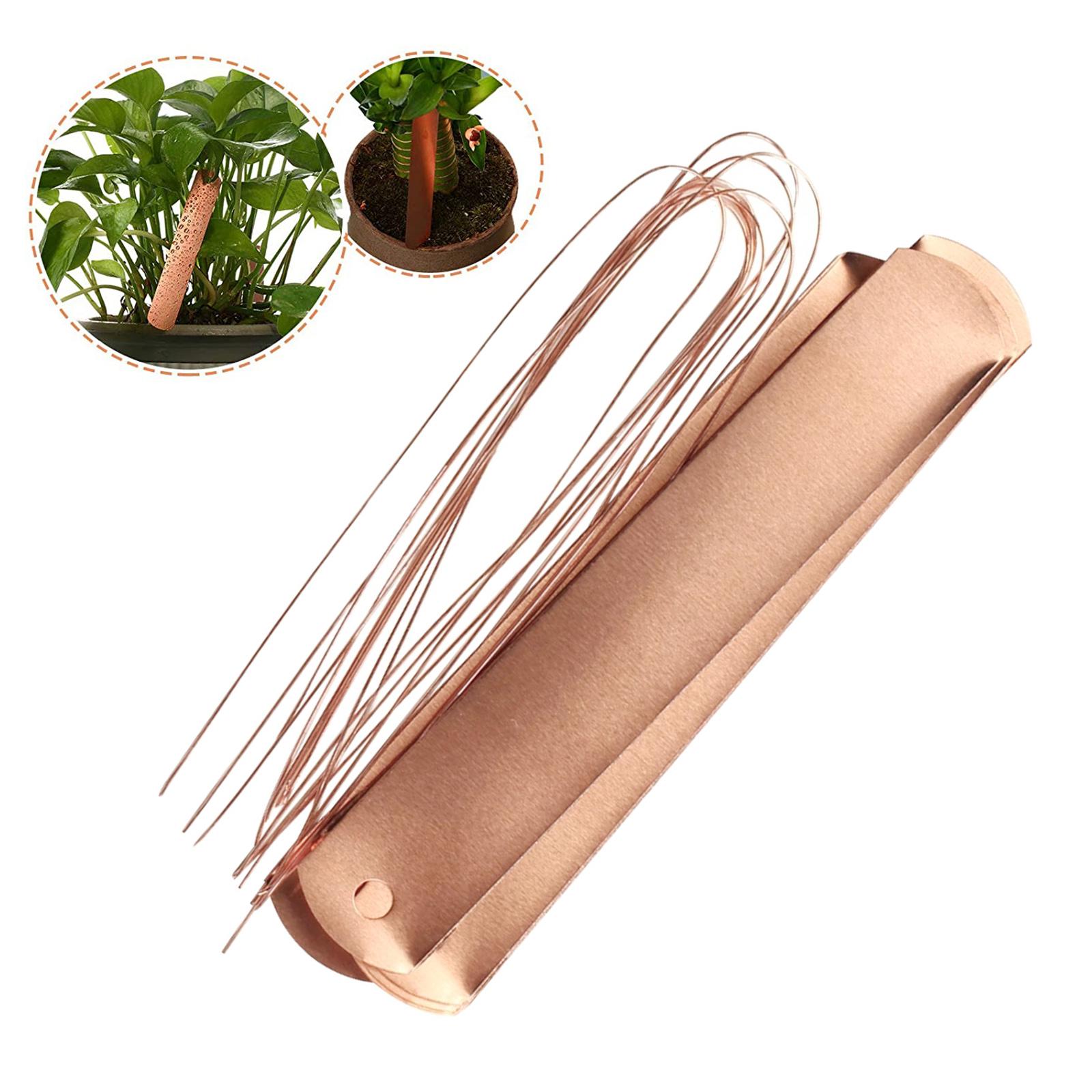 Copper Labels Long Weatherproo – Garden Label Marker Bewertung und Preis