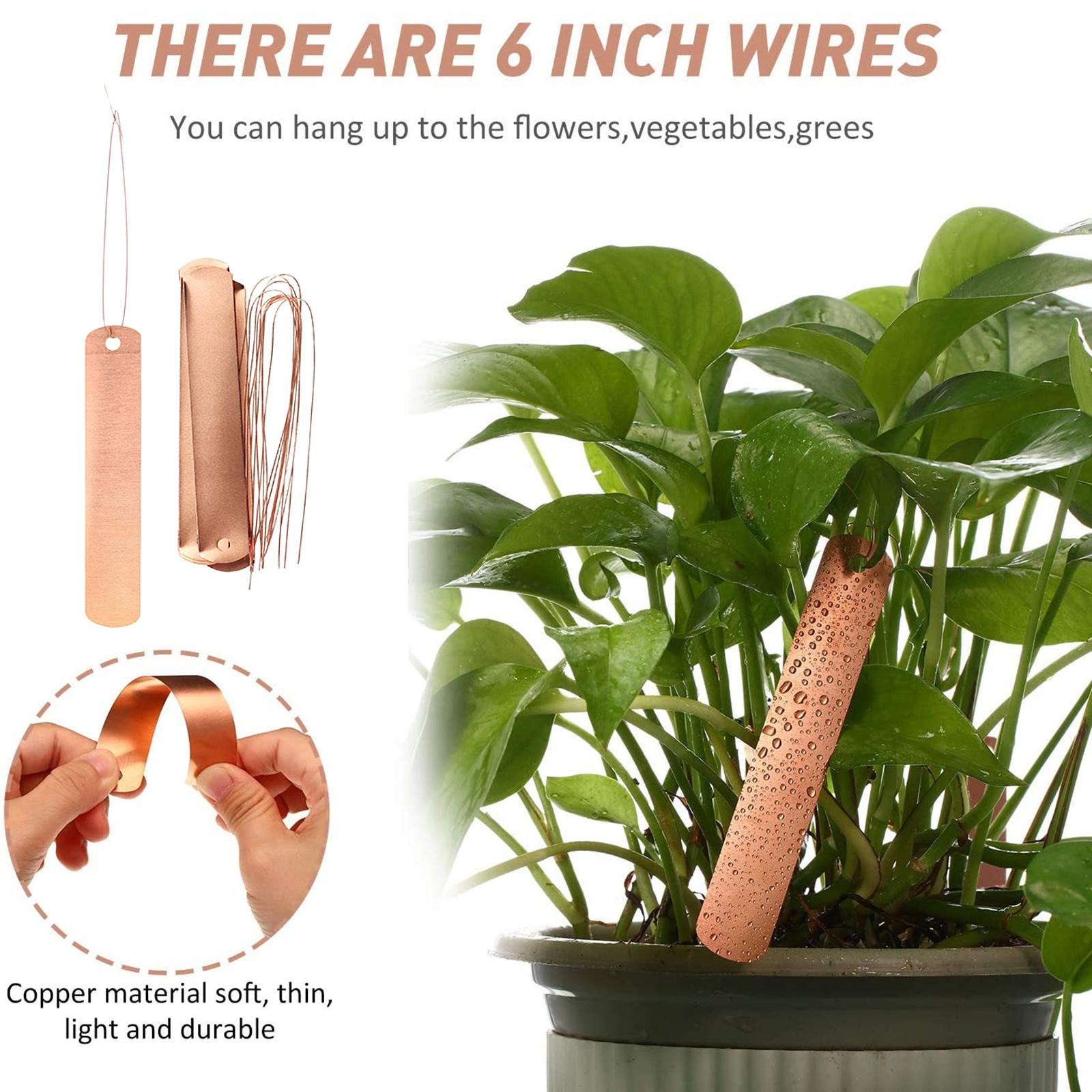 Copper Labels Long Weatherproo – Garden Label Marker Bewertung und Preis