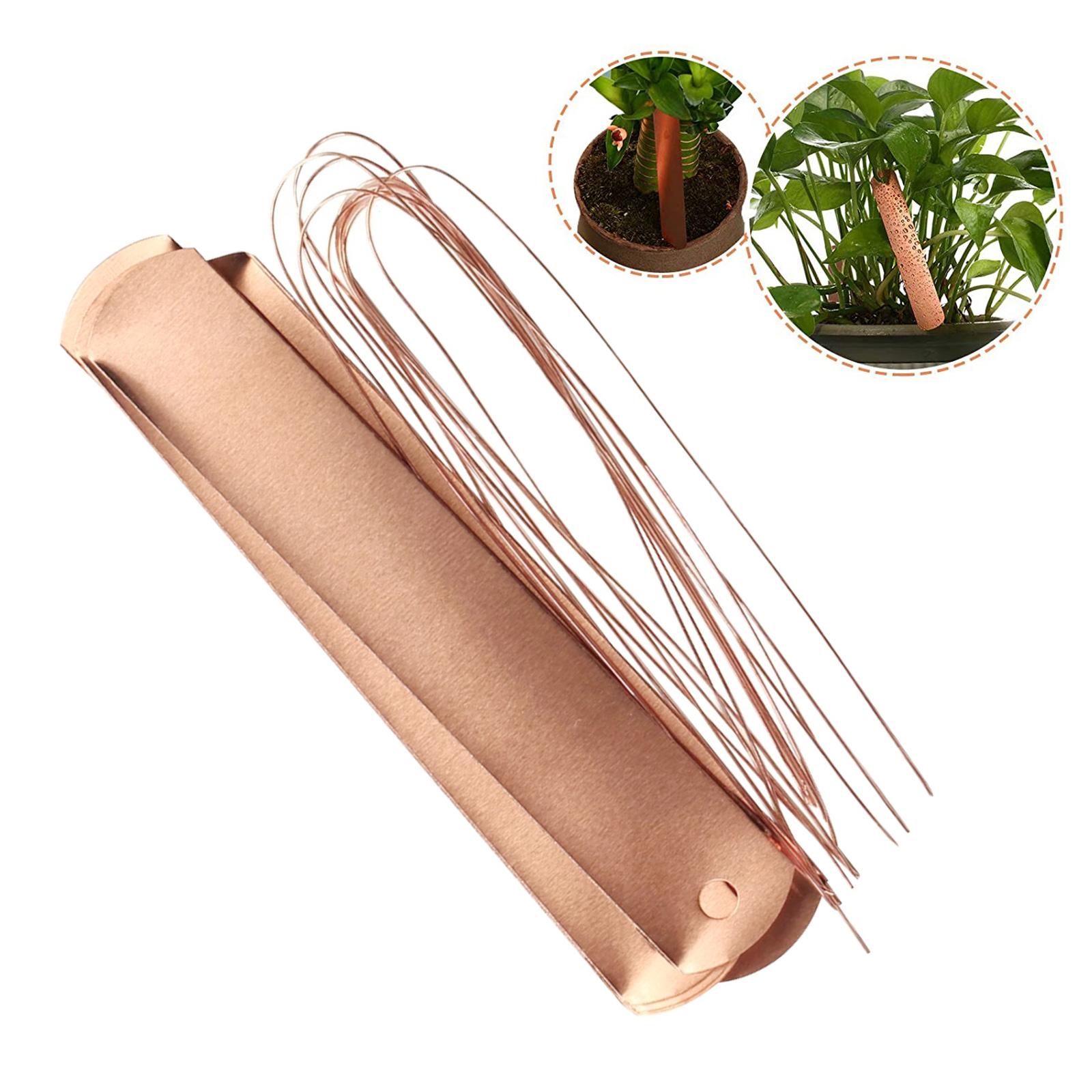 Copper Labels Long Weatherproo – Garden Label Marker Bewertung und Preis