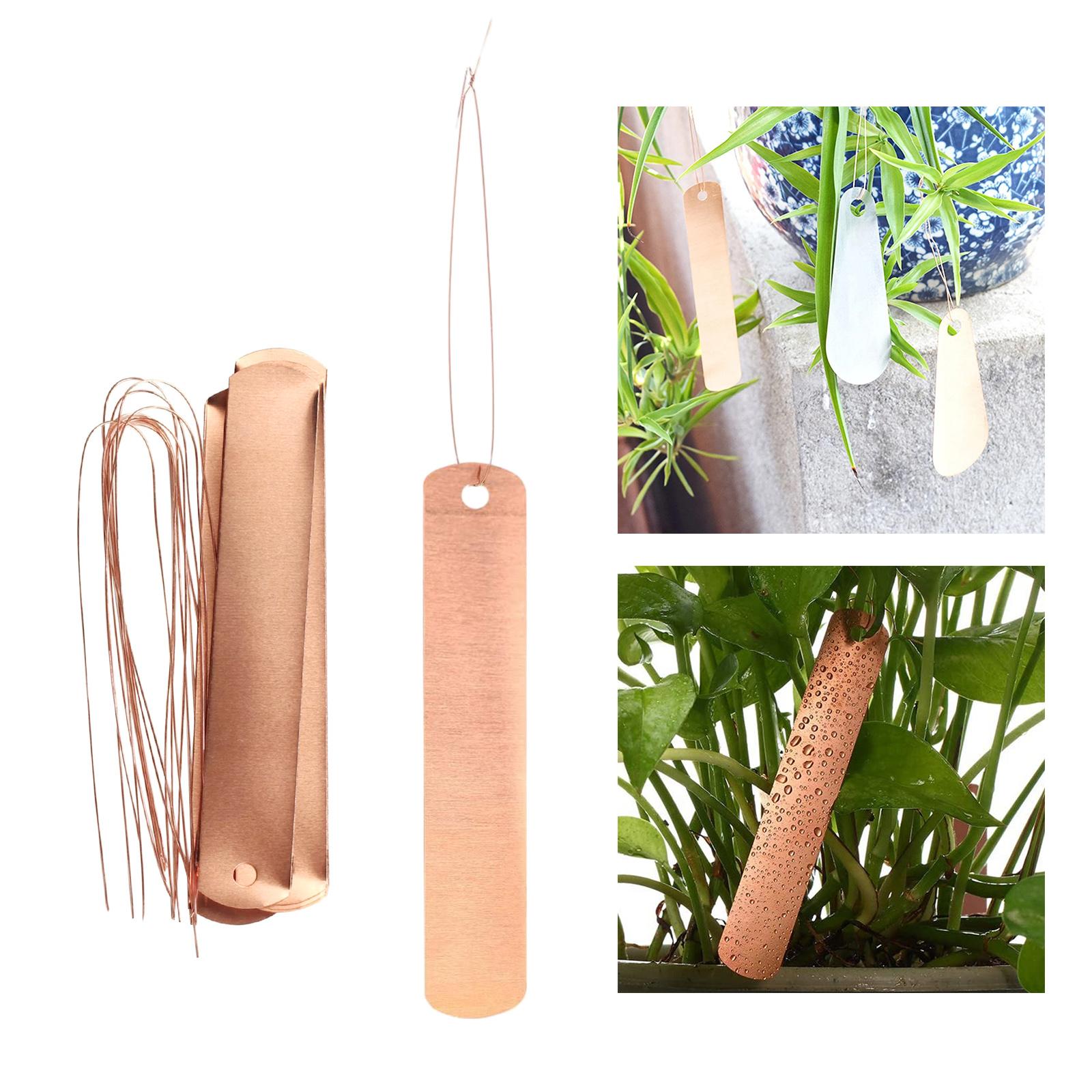 Copper Labels Long Weatherproo – Garden Label Marker Bewertung und Preis
