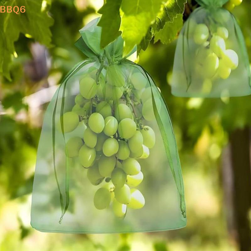 *20/50Pcs Reusable Fruit  Proo – Grow Bags Bewertung und Preis
