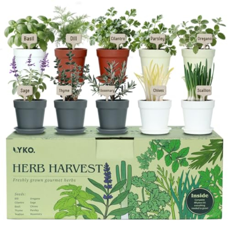 10 Indoor Herb Garden Kit, 33p – Gardening Tools Unique Bewertung und Preis