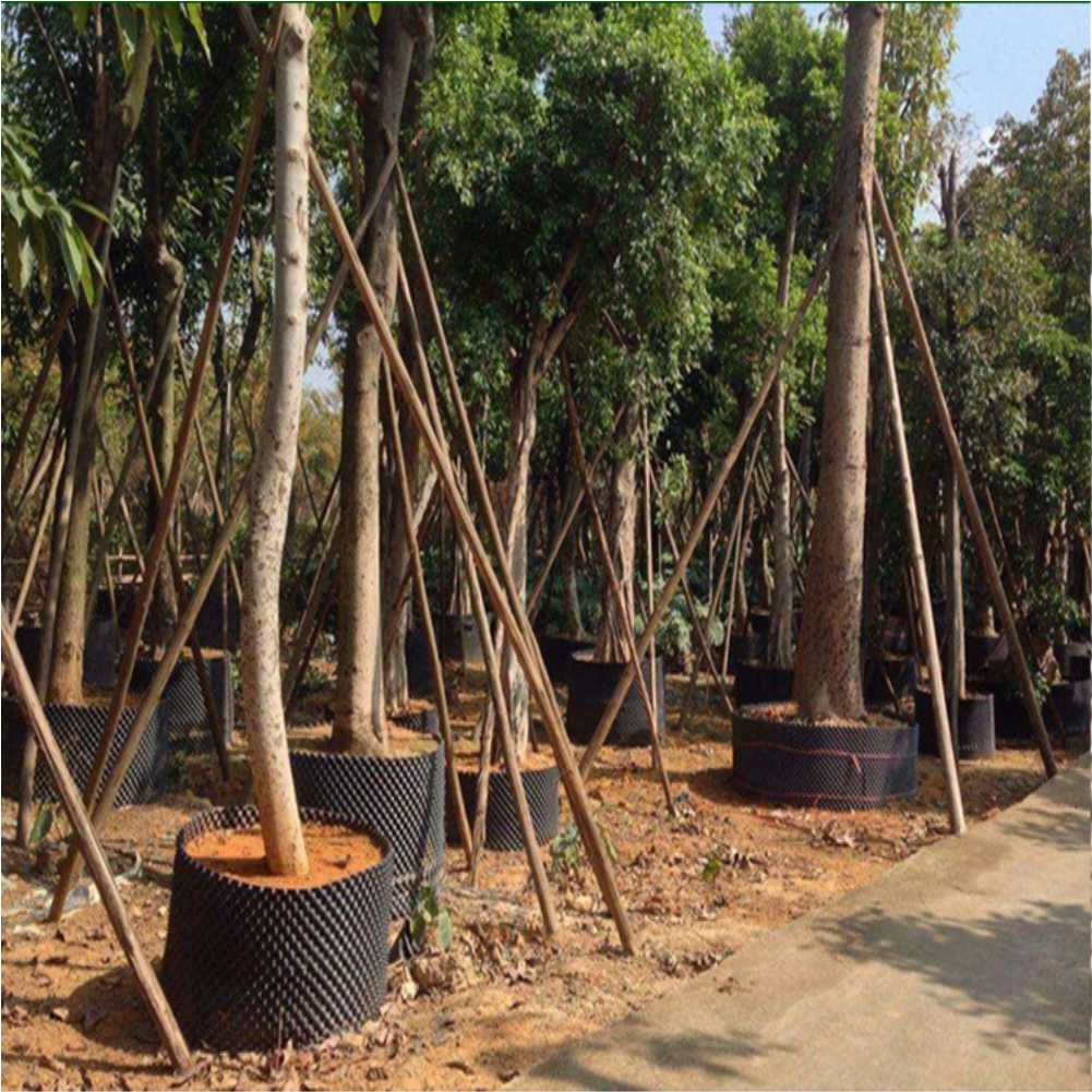 Grow Container Garden Tree Bon – Gardening Tools Of Bewertung und Preis