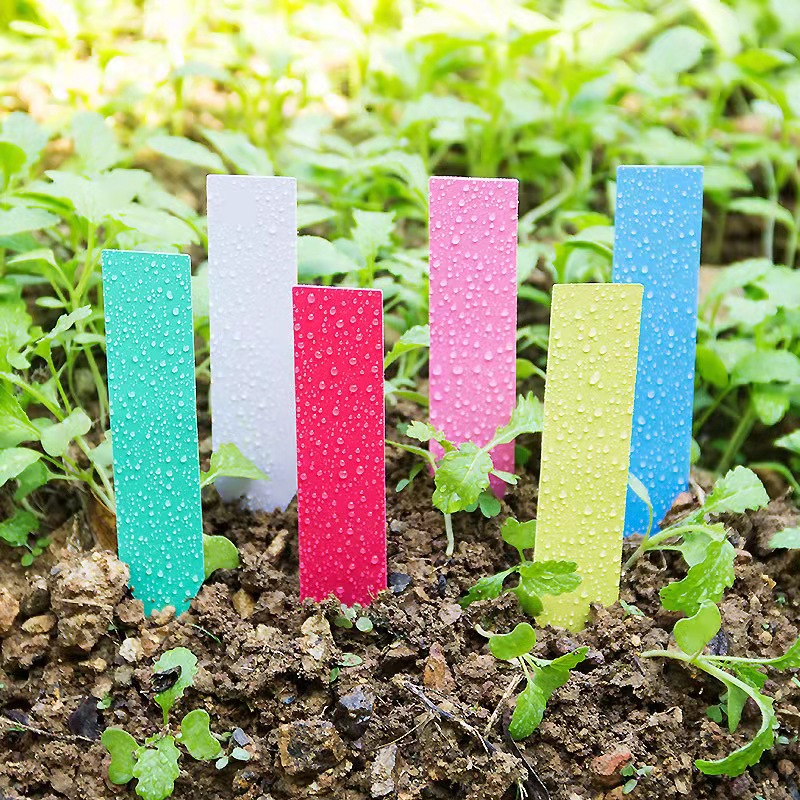 100Pcs Garden Plant Labels Pla – Garden Label Marker Bewertung und Preis