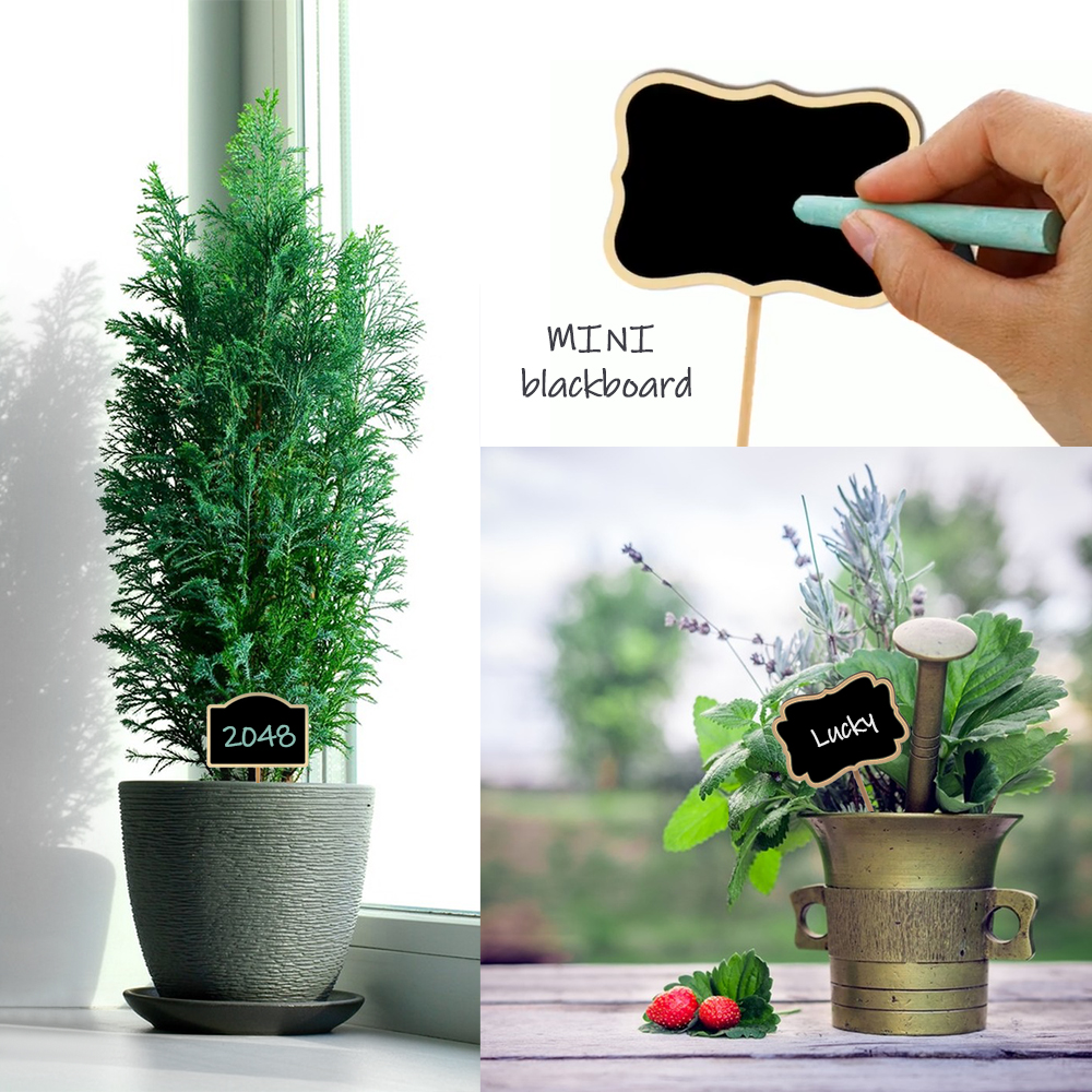 10PCS Wood Mini Chalkboard Sig – Garden Label Marker Bewertung und Preis