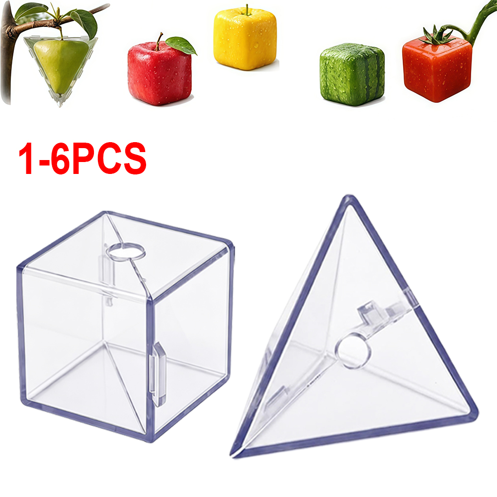 1-6Pcs Fruit Shaping Mold for  – Gardening Tools Unique Bewertung und Preis