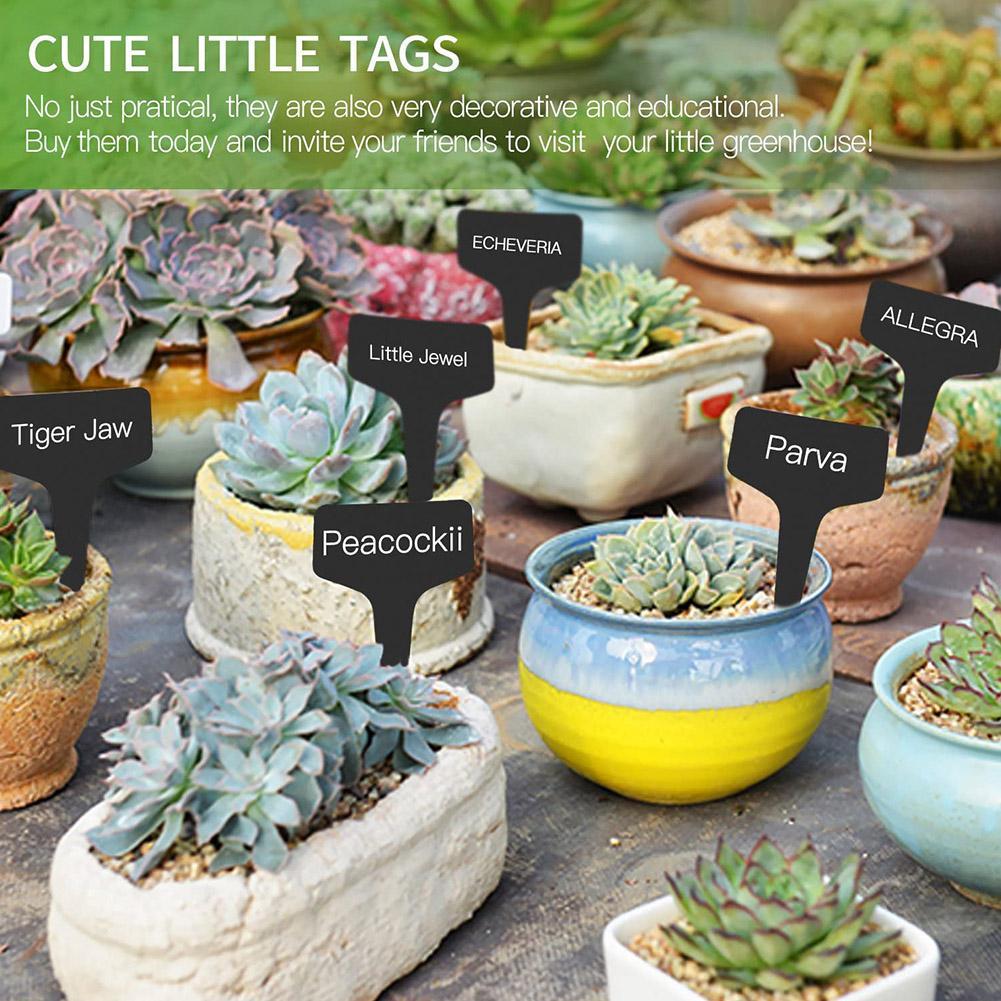 10/25pcs Garden Plant Labels P – Garden Label Marker Bewertung und Preis