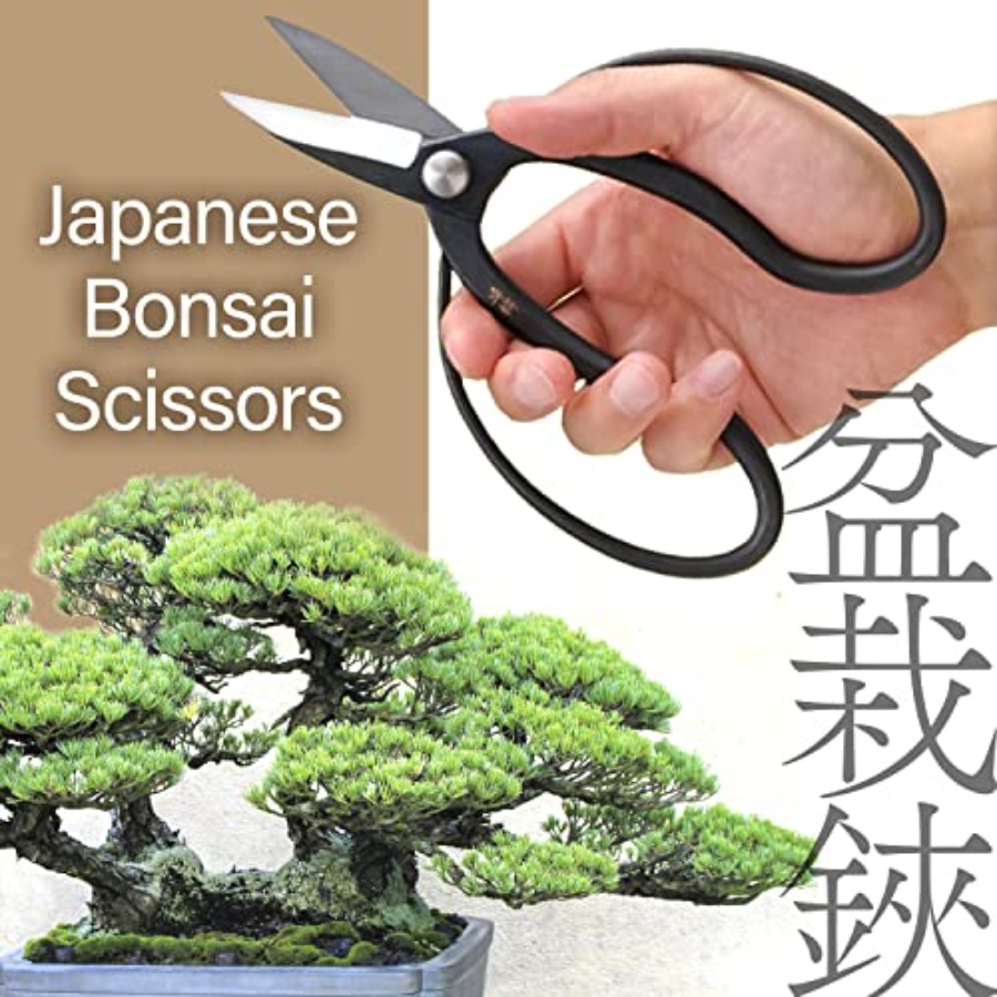 Japanese Suiryu Bonsai Scissor – Gardening Tools Made In Japan Bewertung und Preis