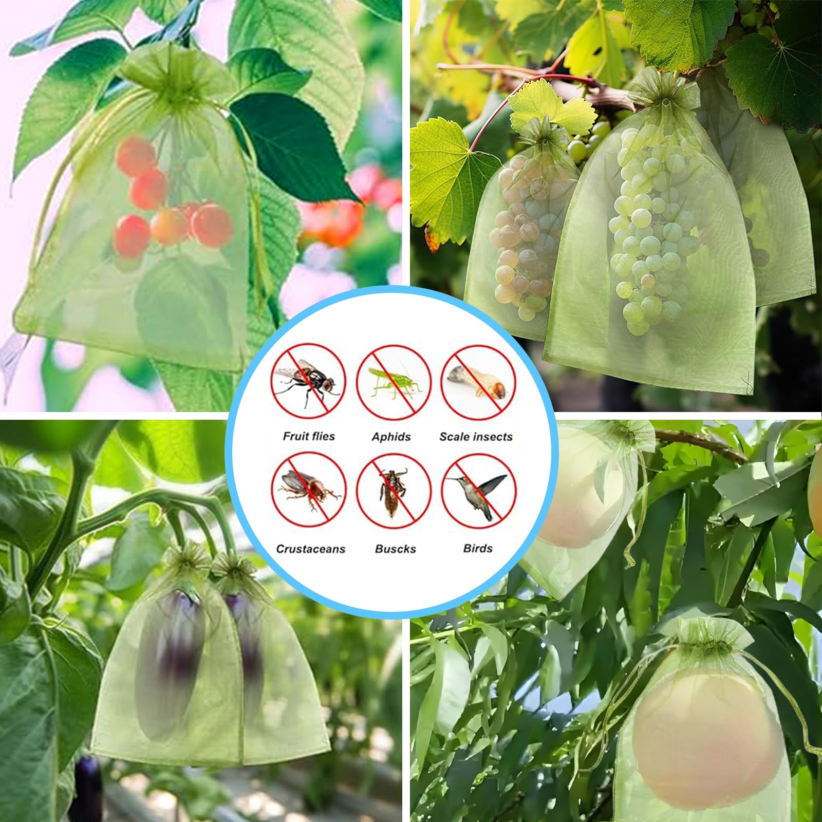Effective Anti-Bird Netting Fr – Grow Bags Bewertung und Preis