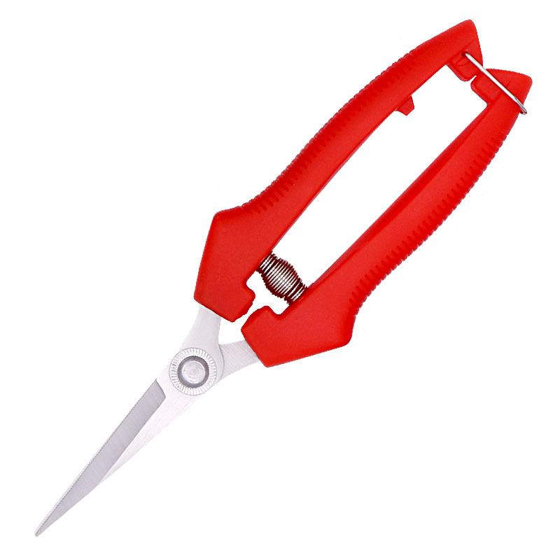 Trending ltemManufacturer whol – Gardening Tools Online Bewertung und Preis