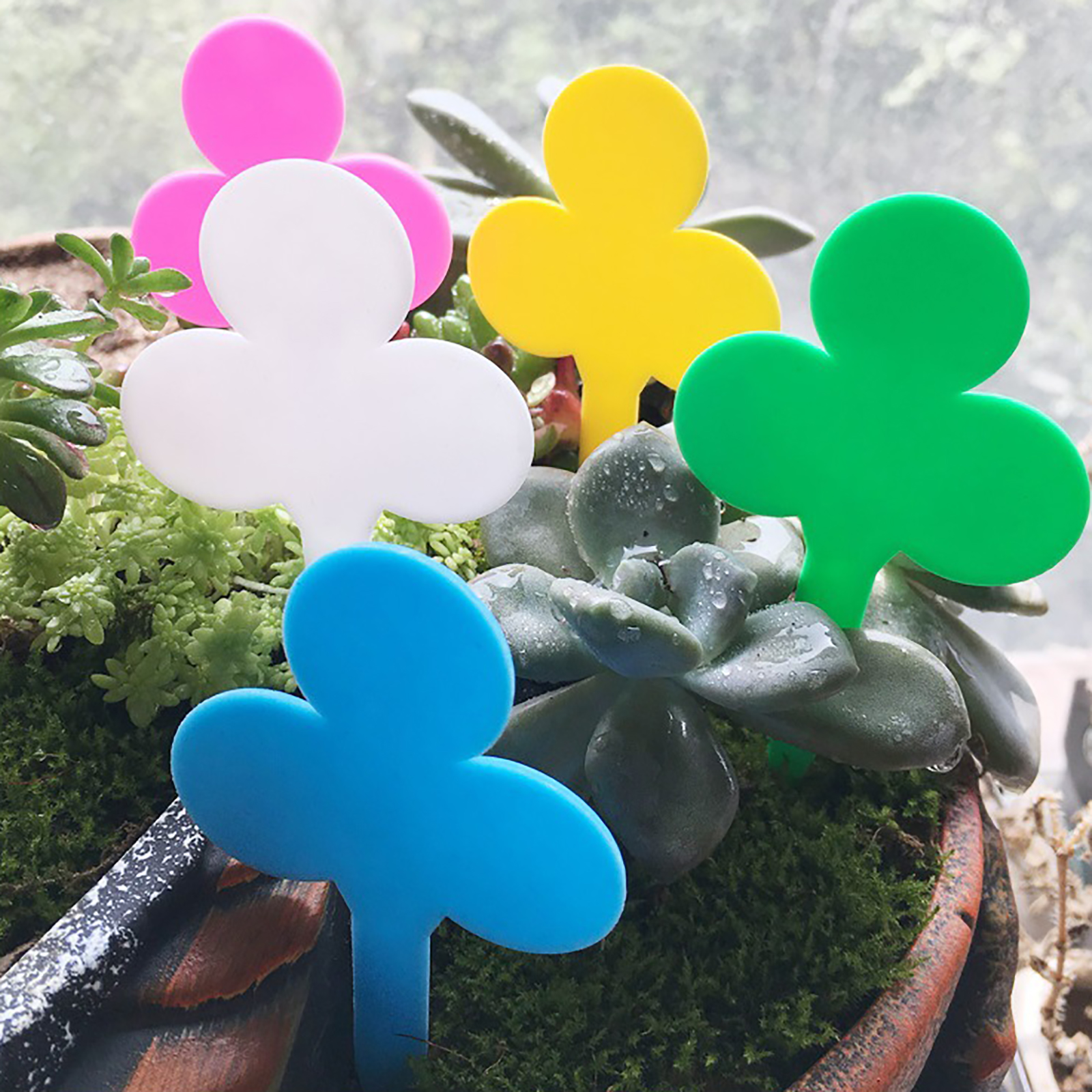 50/100Pcs Plant Labels Garden  – Garden Label Marker Bewertung und Preis