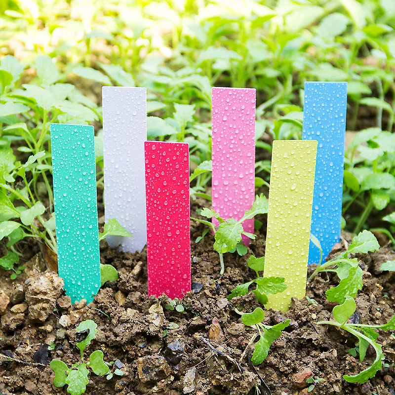100pcs Thick 4inch Plant Label – Garden Label Marker Bewertung und Preis
