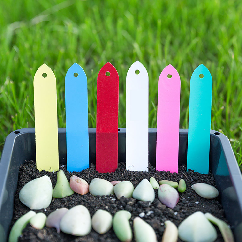 100-300PCS Gardening Garden Pl – Garden Label Marker Bewertung und Preis