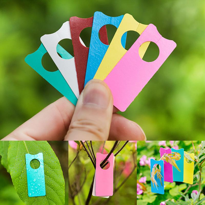 100Pcs Multifunction Plastic T – Garden Label Marker Bewertung und Preis