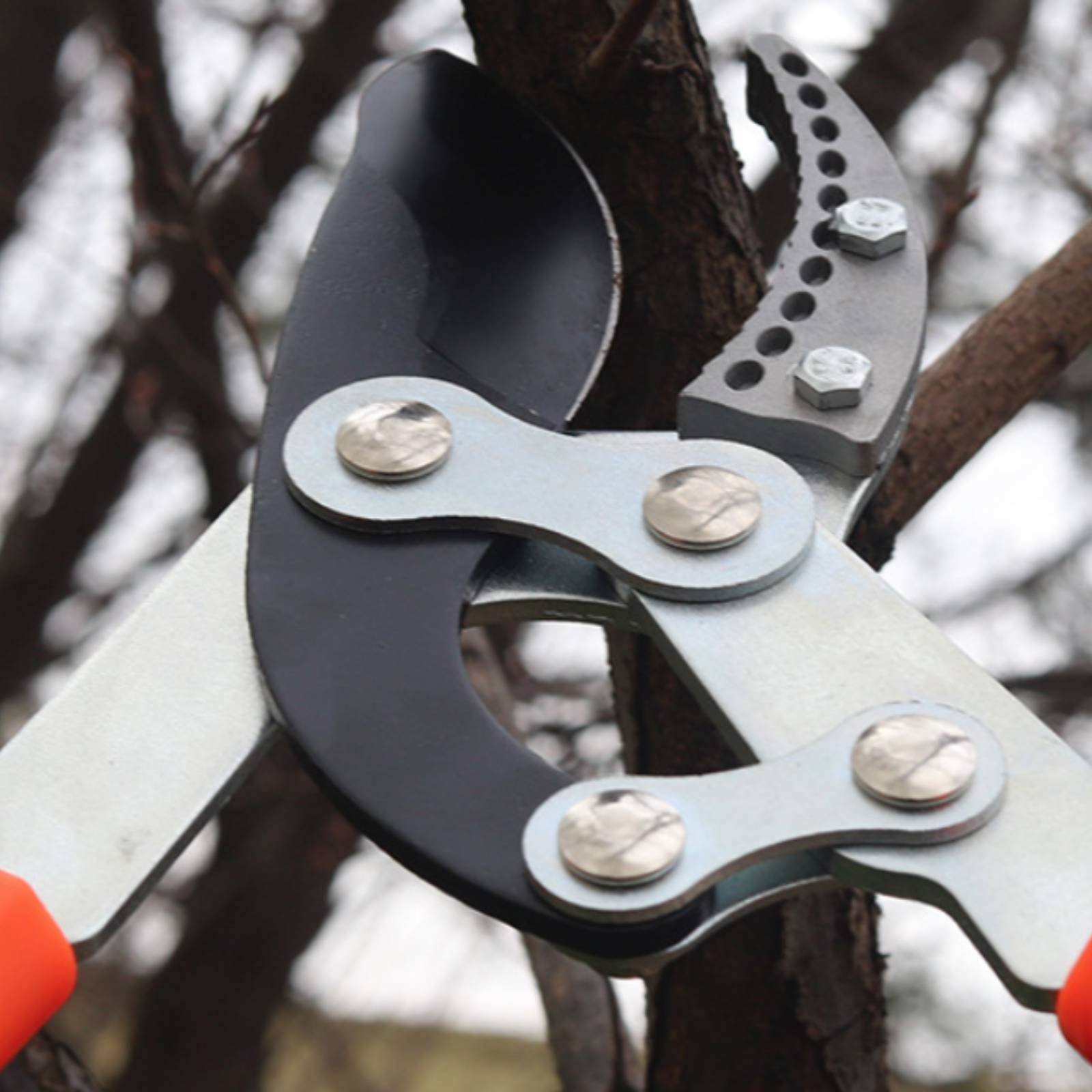 Telescopic Branch Pruners Shar – Gardening Tools Of Bewertung und Preis