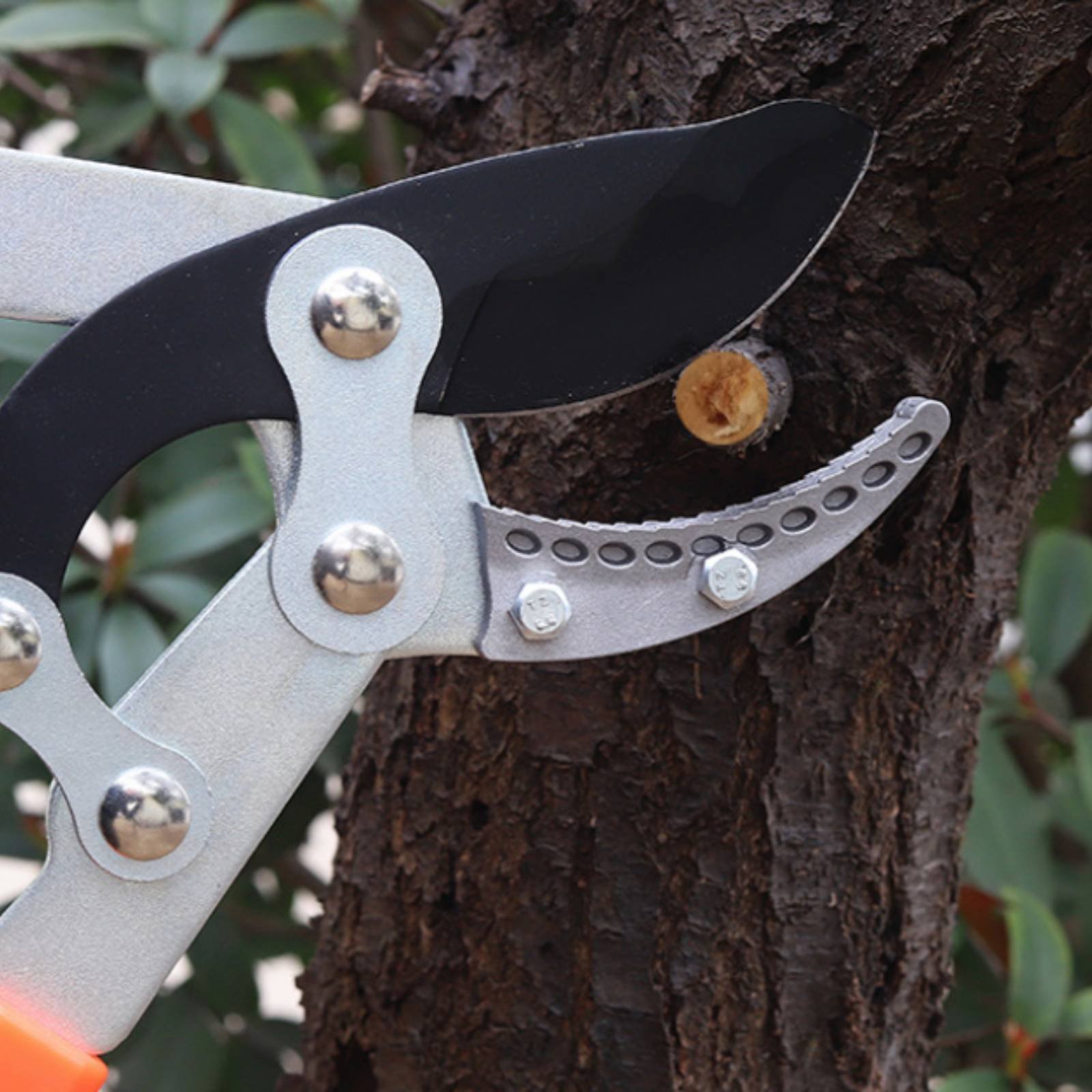 Telescopic Branch Pruners Shar – Gardening Tools Of Bewertung und Preis