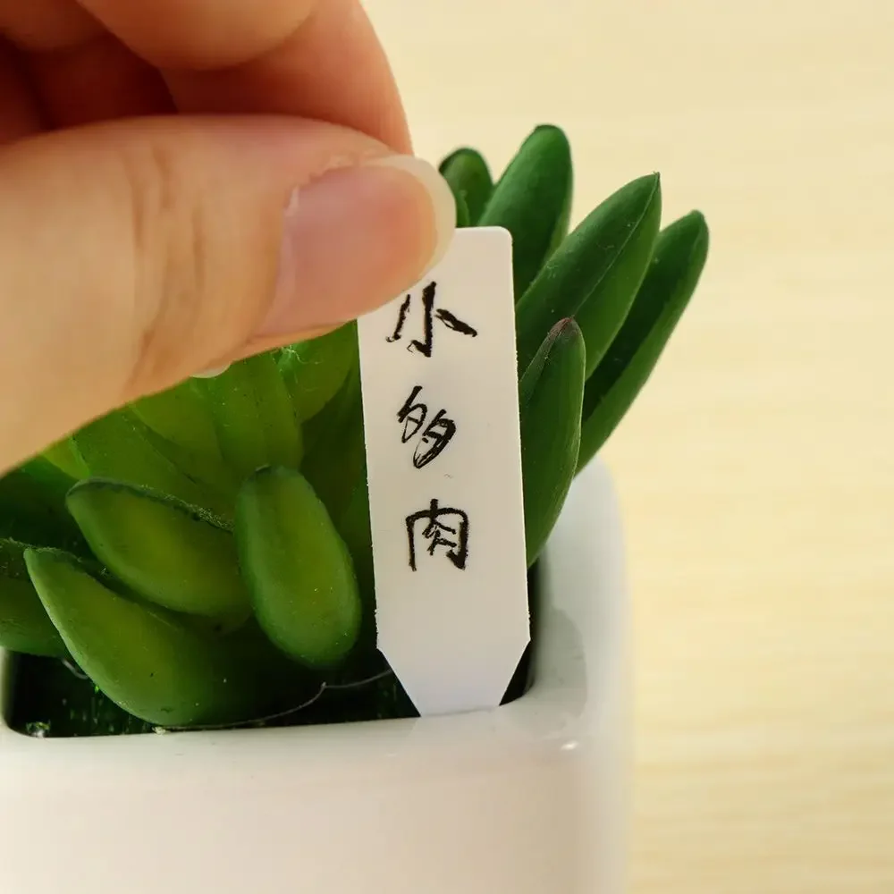 100Pcs Reusable Classification – Garden Label Marker Bewertung und Preis