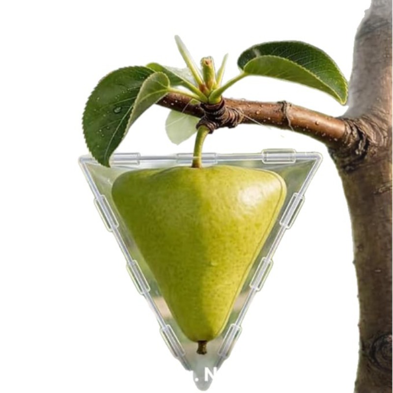 Unique Fruit Shaping Growth Mo – Gardening Tools Unique Bewertung und Preis