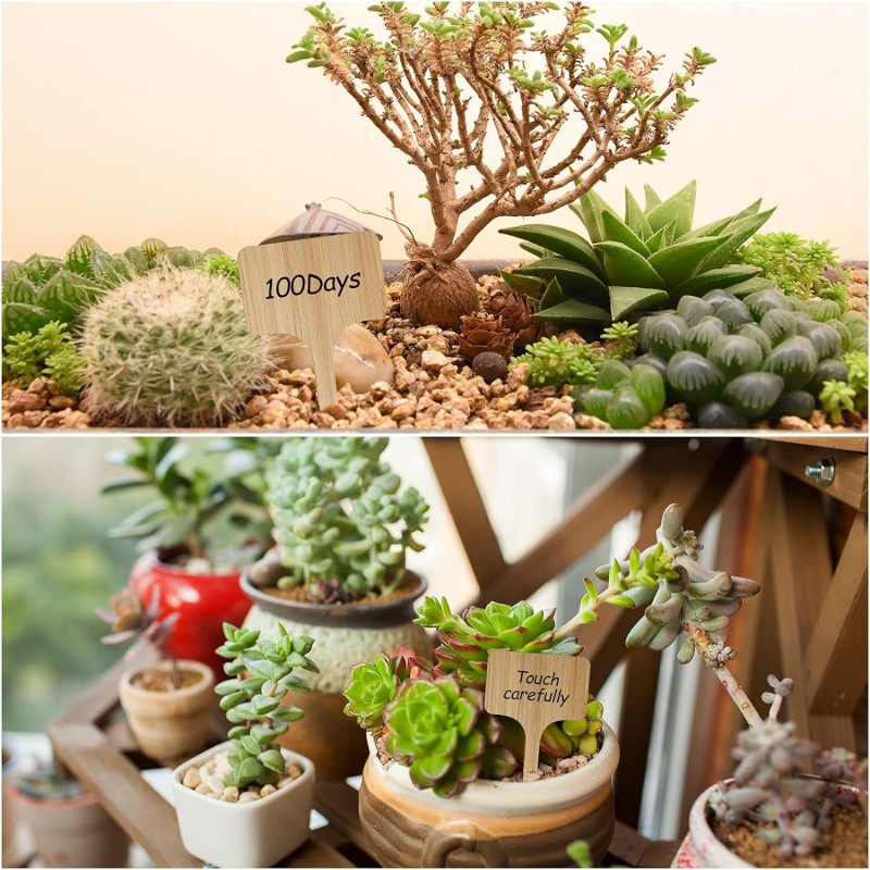 T-Type Bamboo Plant Labels Eco – Garden Label Marker Bewertung und Preis