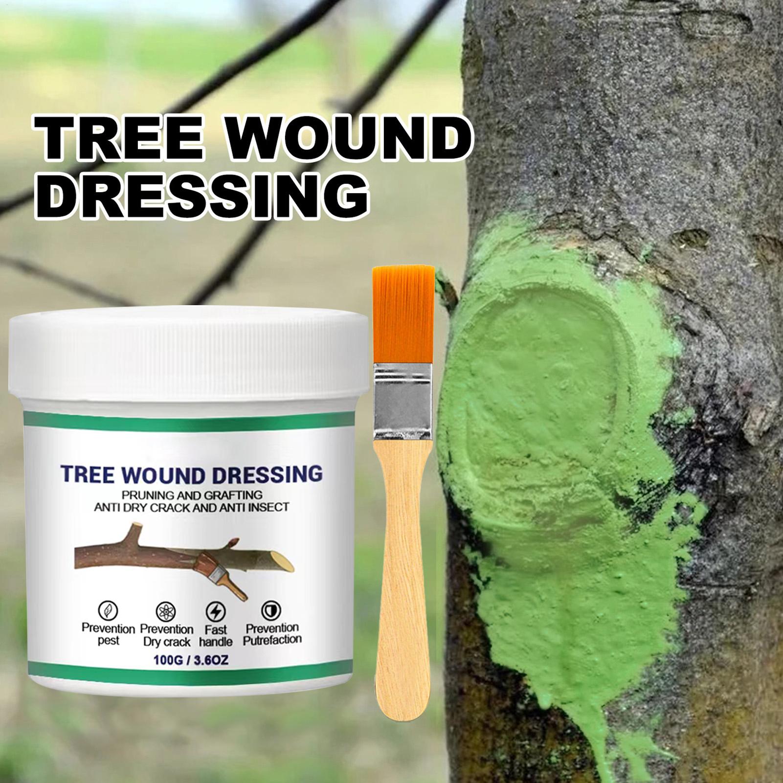 Tree Grafting Paste Tree Wound – Gardening Tools Women Bewertung und Preis