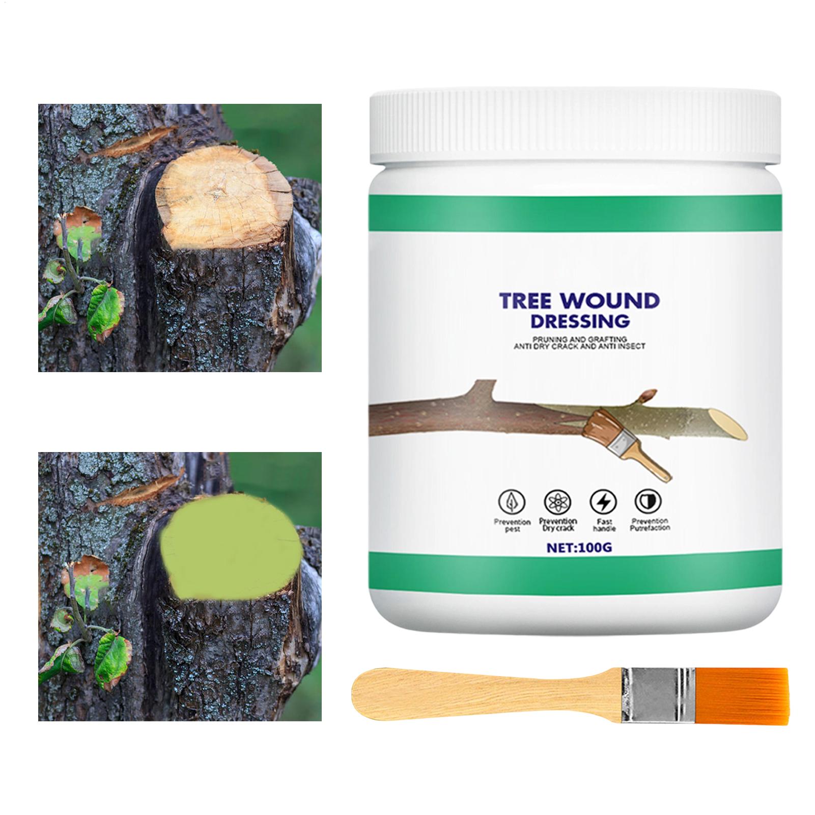 Tree Grafting Paste Tree Wound – Gardening Tools Women Bewertung und Preis